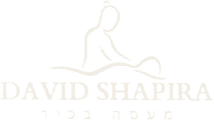 David Shapira – Senior Massage Therapist