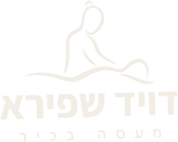 דויד שפירא – מעסה בכיר